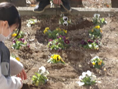 ホーム - 美里町立東児玉小学校